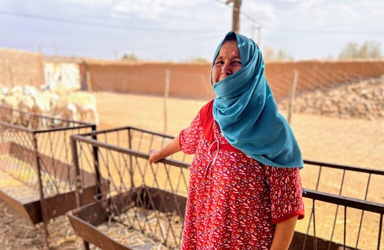 A Moroccan woman in a blue hijab and red house dress poses, smiling at the camera, before sheep in a pen.