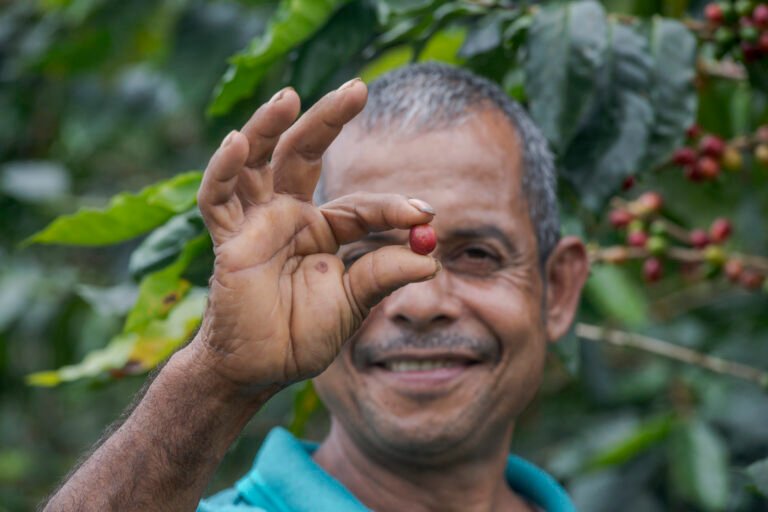 Jeremias Gomez Repero harvests coffee in Caqueta, Colombia