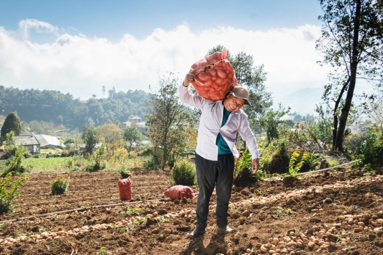 David Faustino Fuentes is a farmer  from San Marcos in Guatemala his productions is potatoes.