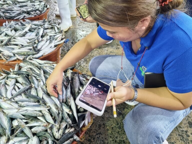 An enumerator learns latest fish stock assessment methods