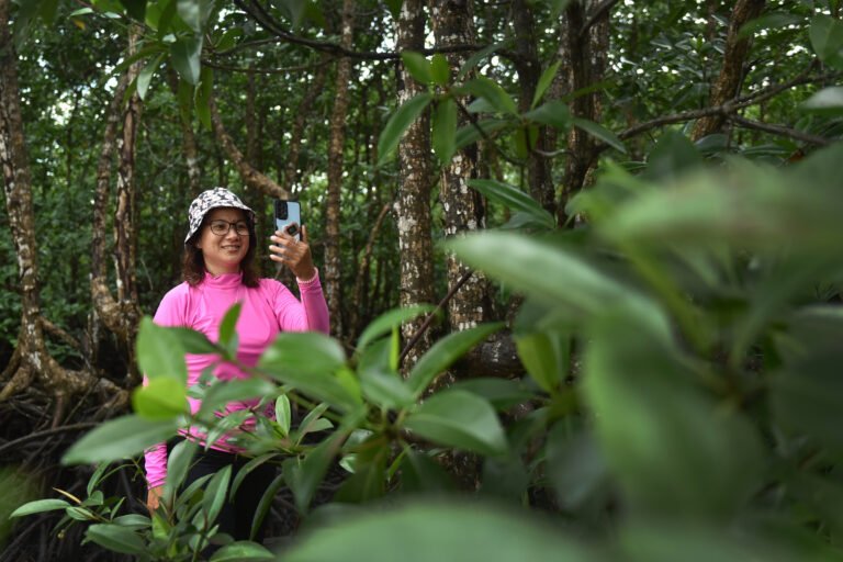 Mangrove ecosystems in Siargao as vital carbon sinks to mitigate climate change impacts