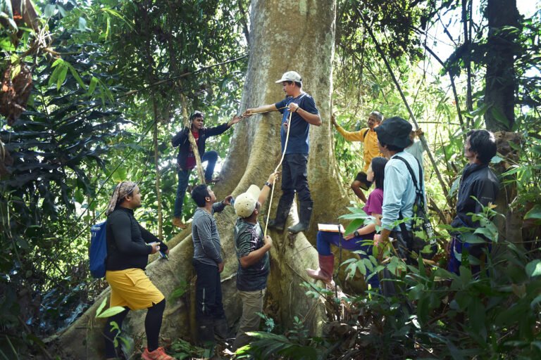 Old growth forests of Mt. Mantalingahan Protected Landscape as effective carbon sinks to mitigate impacts of climate Change