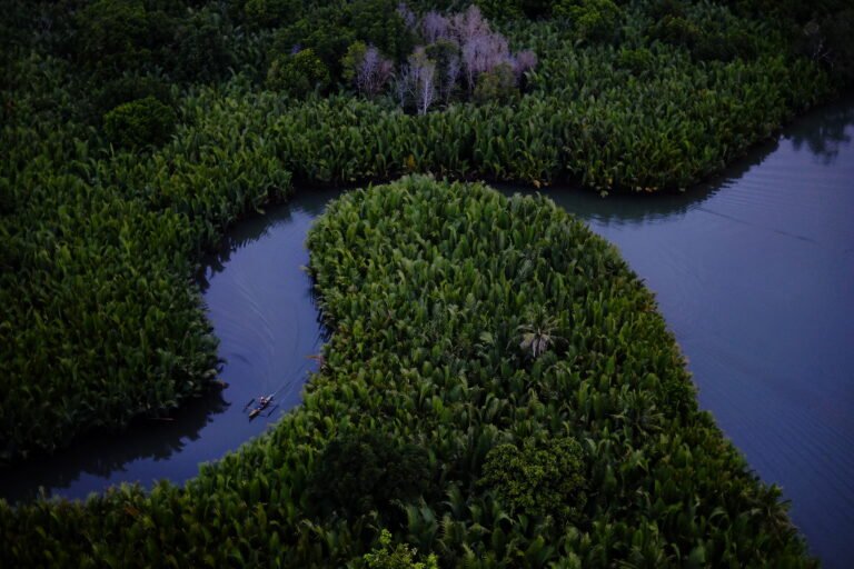 A boat making its way through the mangroves in the Philippines