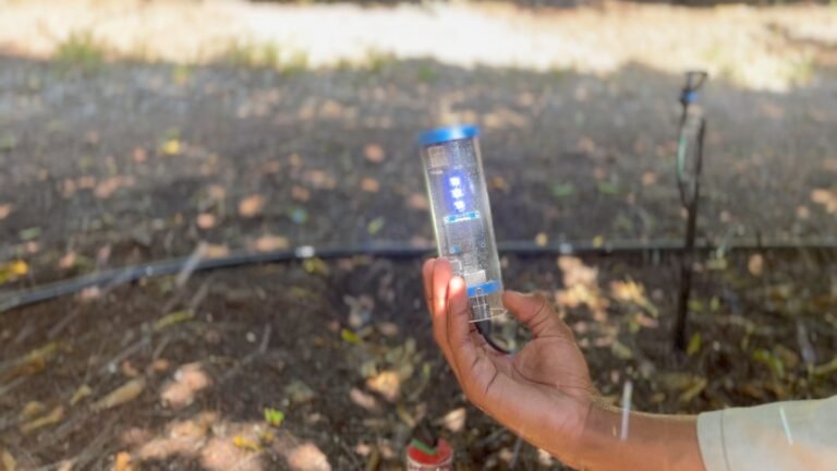 Image of a hand holding a small water monitoring device.