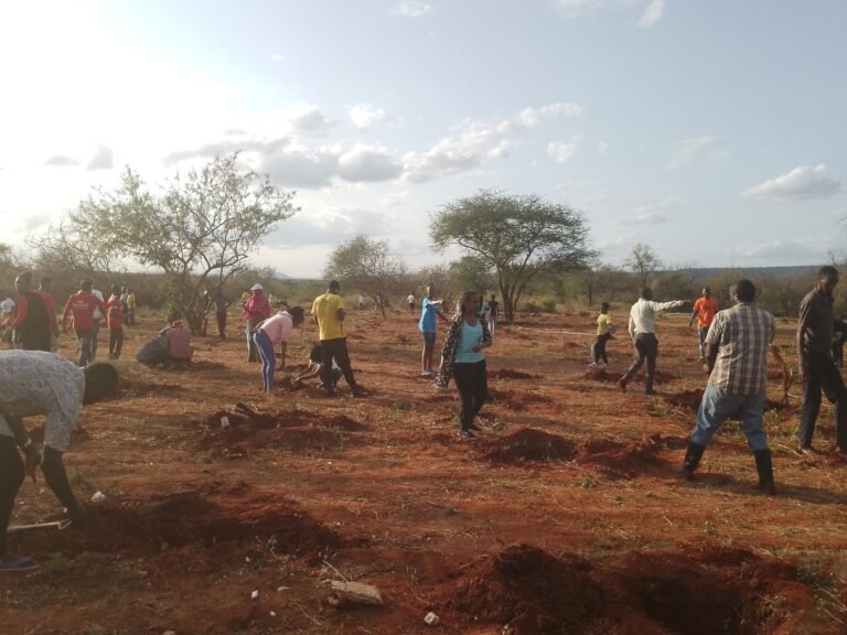 A community group scattered on a plot of land digs holes and plants trees.