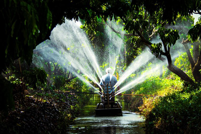 Man in a boat floating down a channel that is spraying water off both sides onto nearby longan canopies.