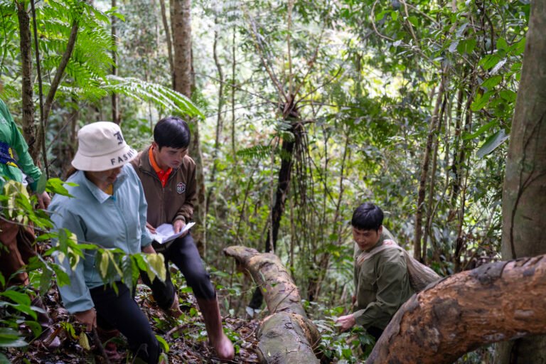 Several members of a community forest patrol stand in the forest looking at a fallen tree.