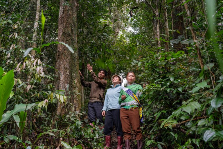Three members of a community forest patrol stand together on a path in the forest.