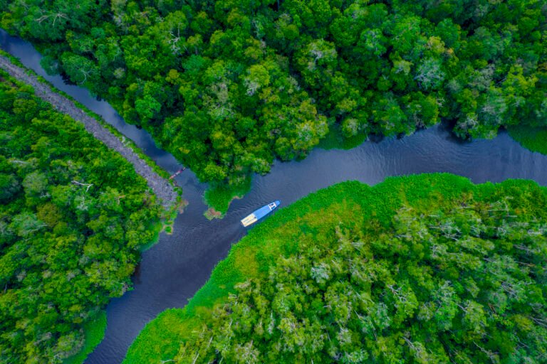 Aerial view of small boat on river next to tributary in dense green forest.
