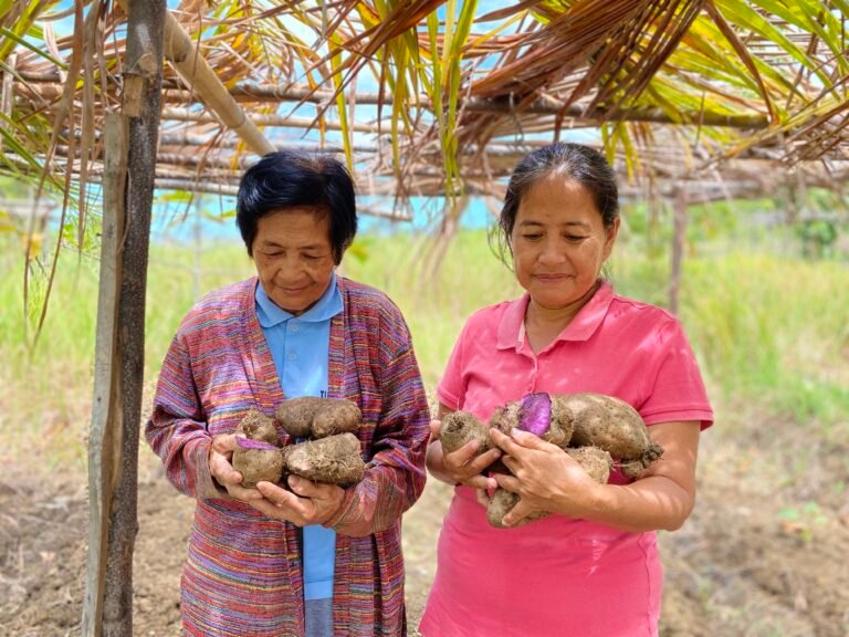 Two women standing next to one another both with an armful of ube