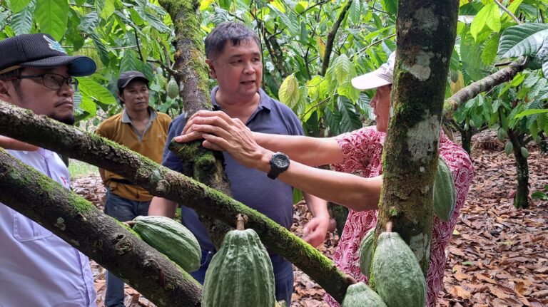 A group of people talk to each other next to a coffee tree.