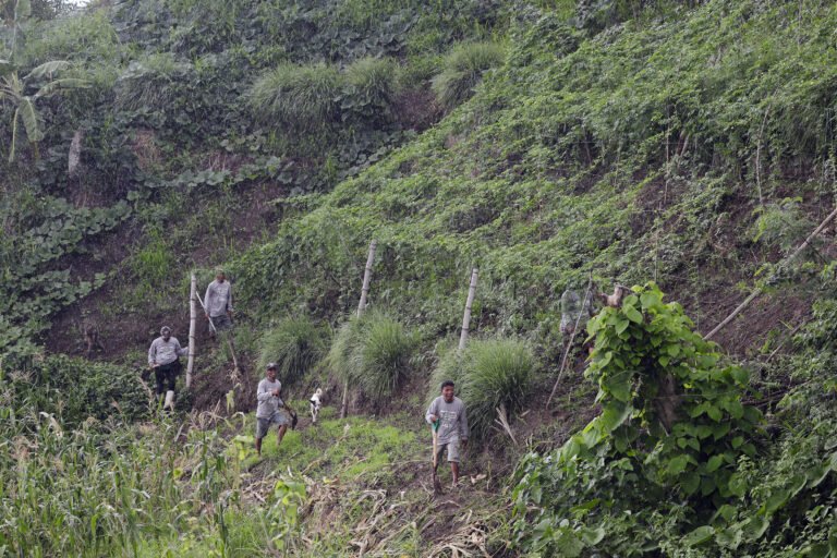 Farmers and a dog walk along the side of a forested slope.