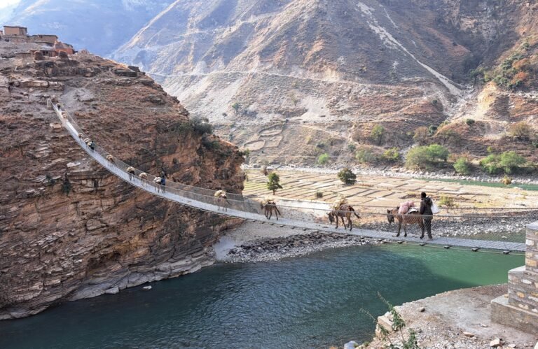 Group of mules carrying supplies on a long suspension bridge.