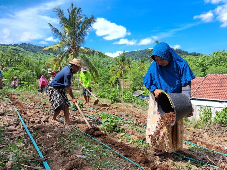 Several farmers working and tilling land.