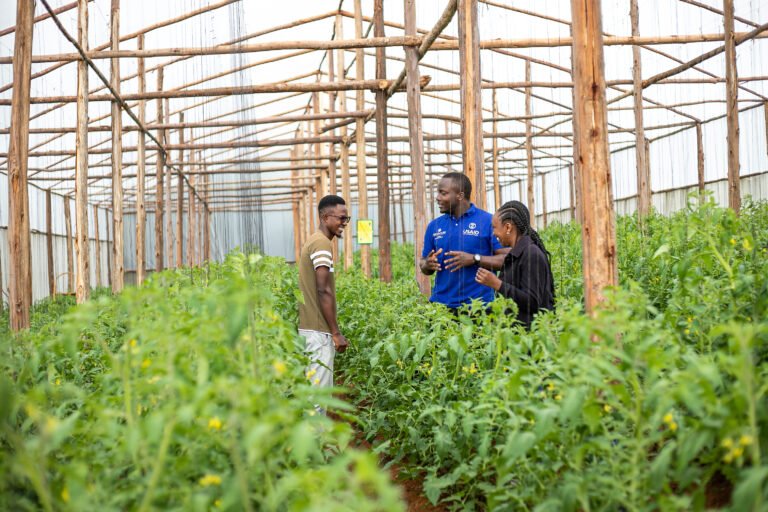 Three people standing and talking in a greenhouse surrounded by plants