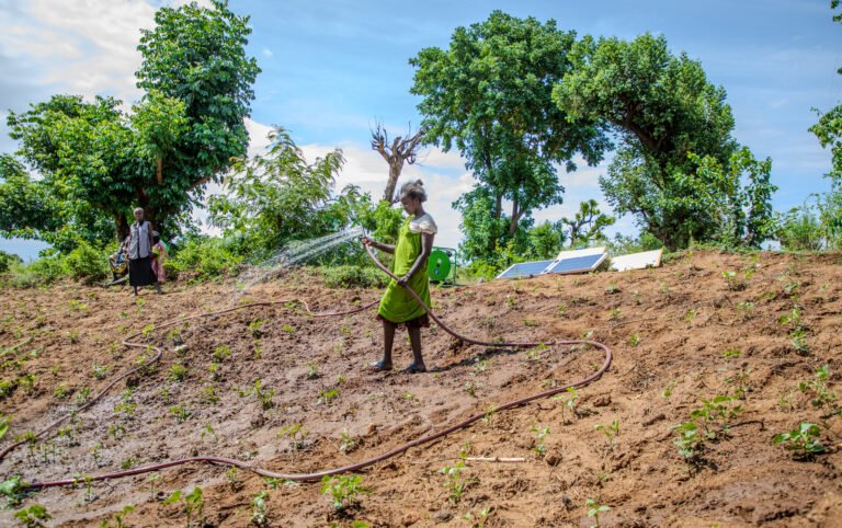 A woman waters her plot of land.