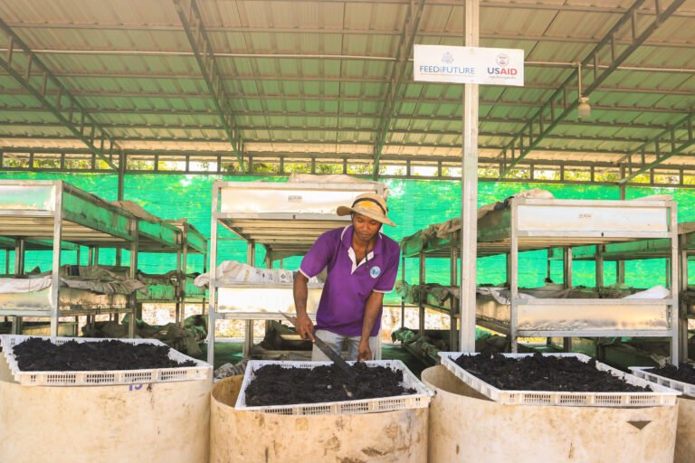 A man stands in front of large vas of black larvae.