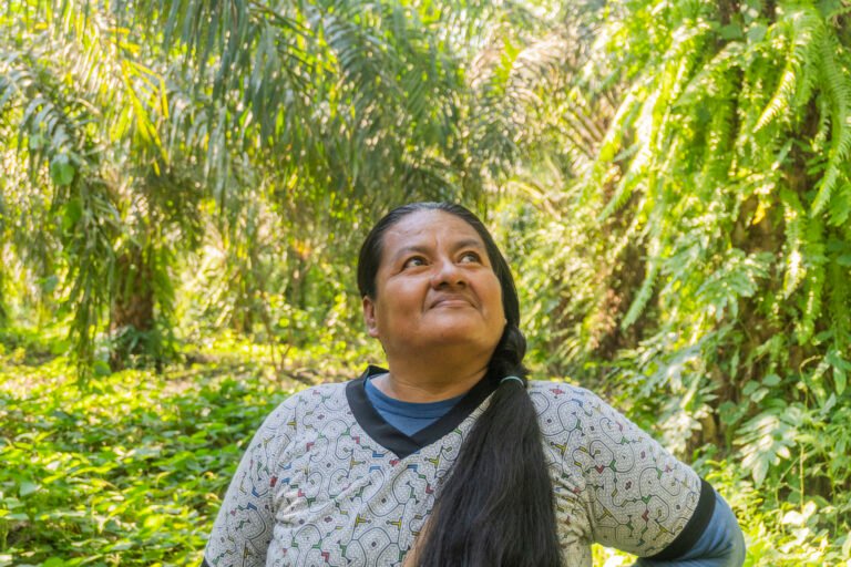 Nelly Lozano peers into the palm trees on her 22 hectare property near Neshuya, Peru. Lozano is among the first palm oil producers in the country to be audited by the Roundtable on Sustainable Palm Oil on sustainable production practices that can reduce emissions and improve livelihoods.