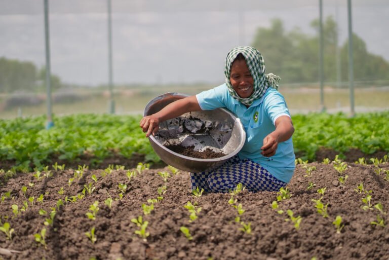 A woman sits among a field of young crops, tending them, with fields stretching beyond her in the background.
