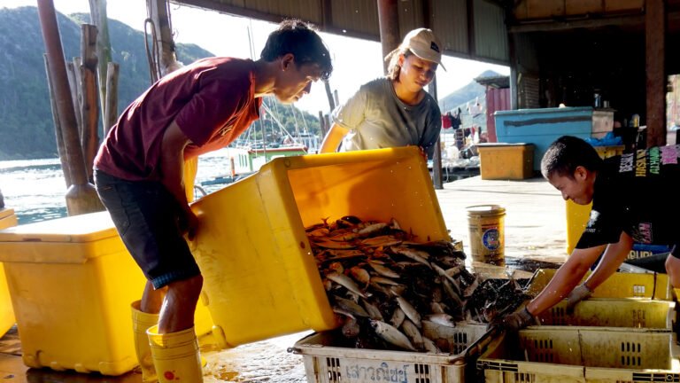 Three fisherfolk unload their catch in a building open to the sea and mountains behind them.