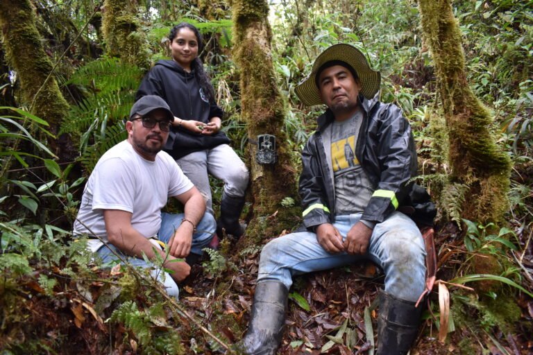 Three people smile as they pose in the forest with a camera trap on a tree.