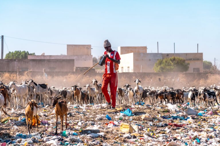 A young man fiddles with a handheld radio in the middle of his livestock herd of goats, who stand among a lot of plastic trash, with small city buildings visible in the background.
