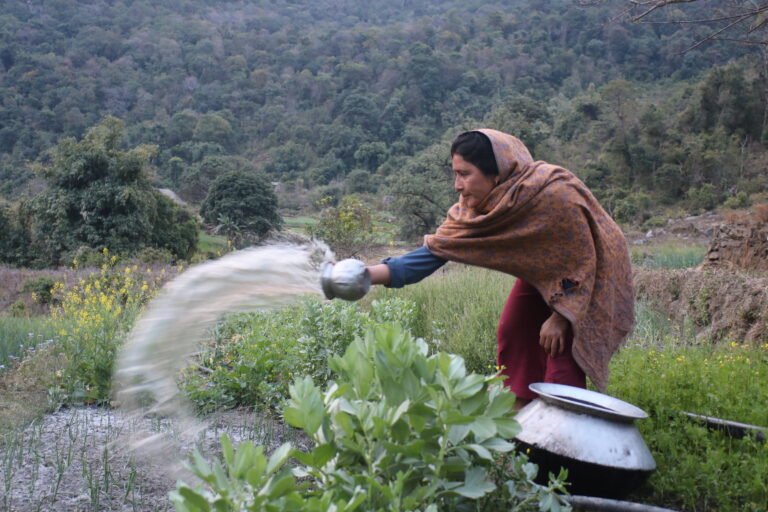 A woman tossing water from a pot over a bed of plants.