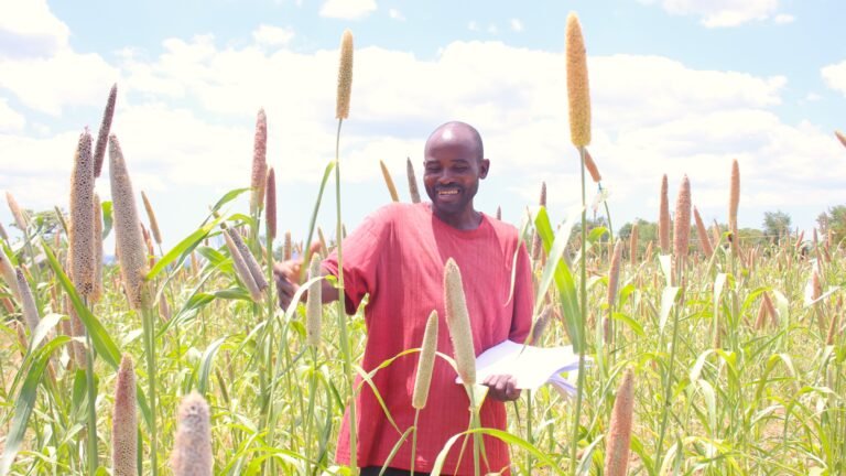 A man smiles as he surveys crops rising above his head in a field.