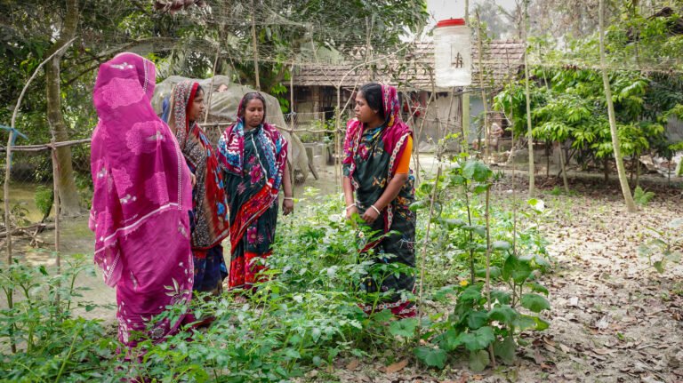 A group of women stand in a vegetable plot as one speaks to them about the plants.