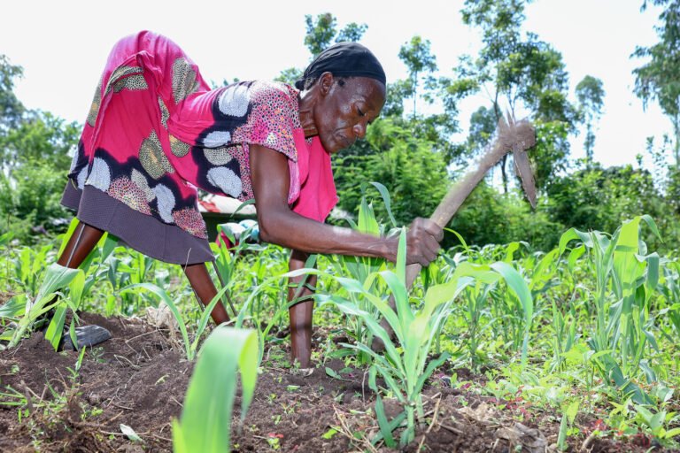 A woman with a disability tills her crop.