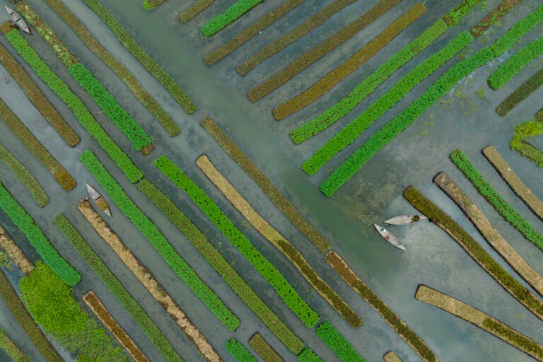 Aerial image of floating crop fields.