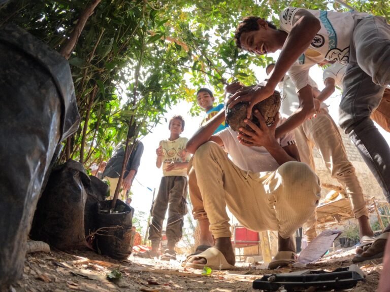People smile as they lower a tree sapling into the ground.