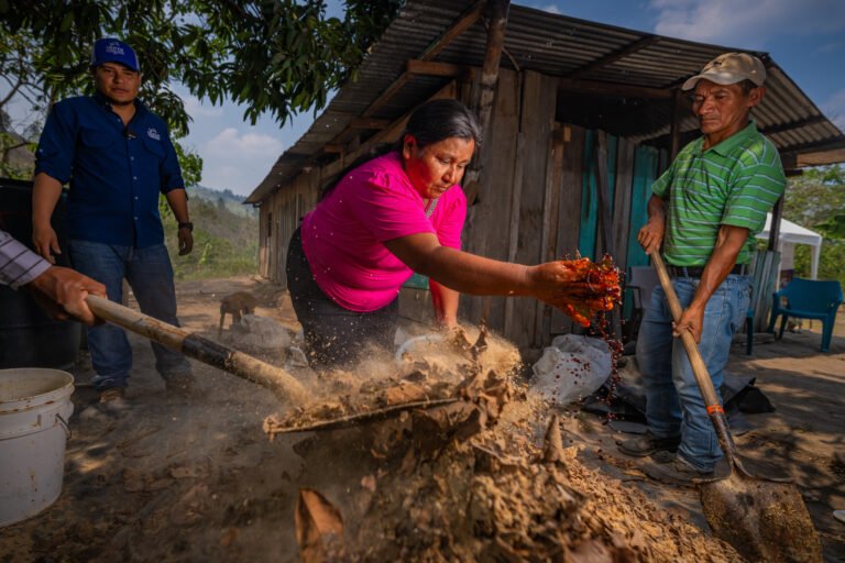 Farmers prepare soil on their farm using their hands and shovels.