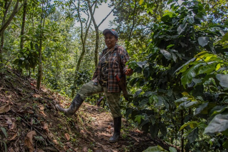 A woman stands with her leg up in a forest.