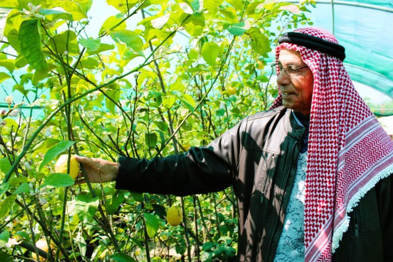 A man reaches for fruit on a tree.