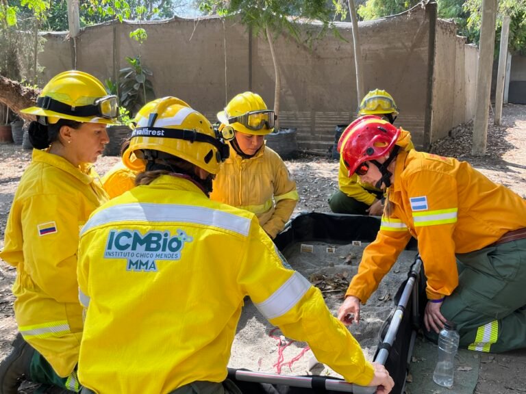 A group of women in firefighting gear bend together over a demonstration plot outside.
