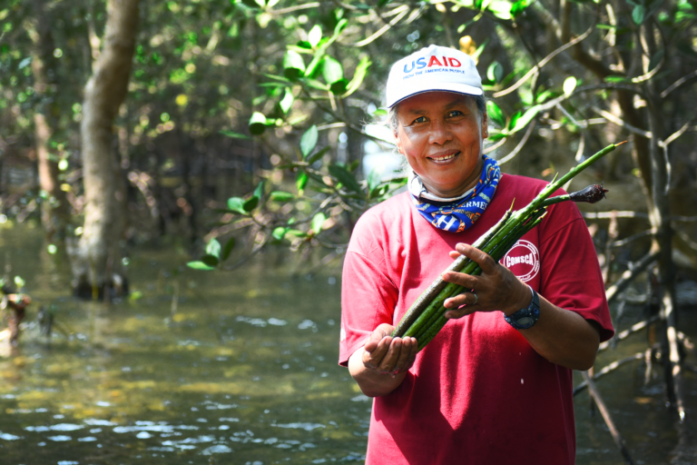 A woman smiles while holding mangrove propagules in a mangrove forest along the coast.