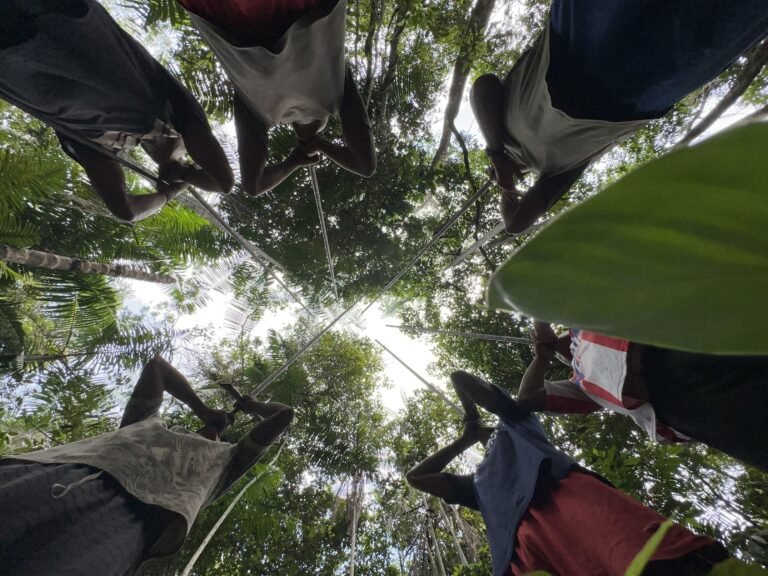 A view from below of people standing in a circle in the middle of a forest using blowpipes.