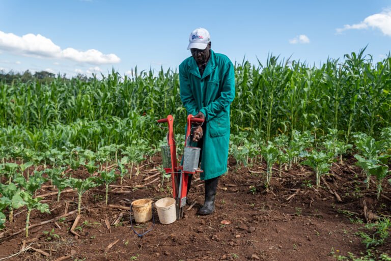A man uses a jab planter in a field.