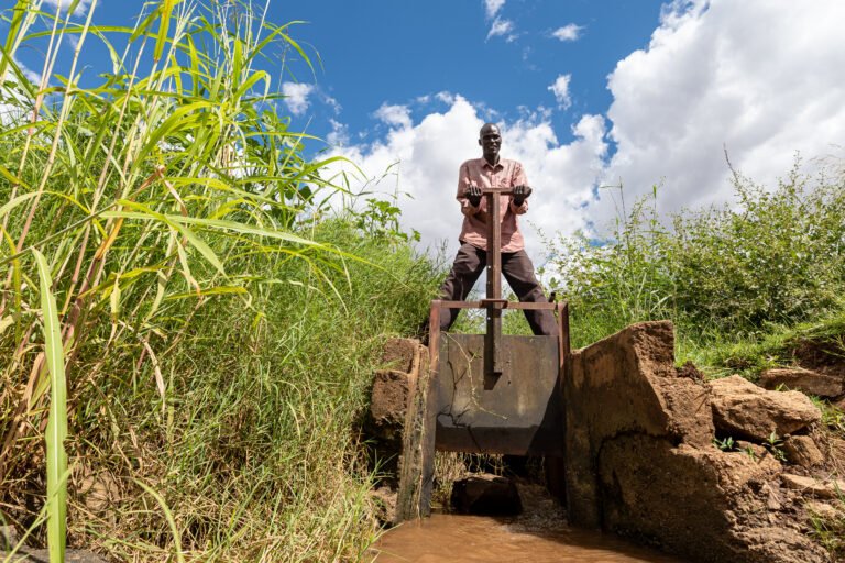 A man stands above an irrigation canal in a field.