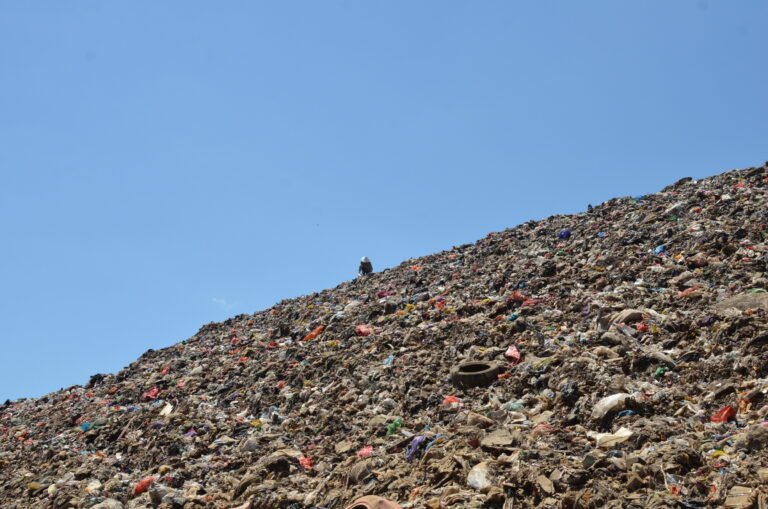 A Journey to Sustainability