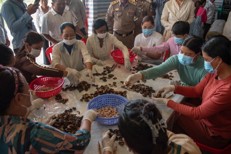 Women sit around a table shelling cashews.