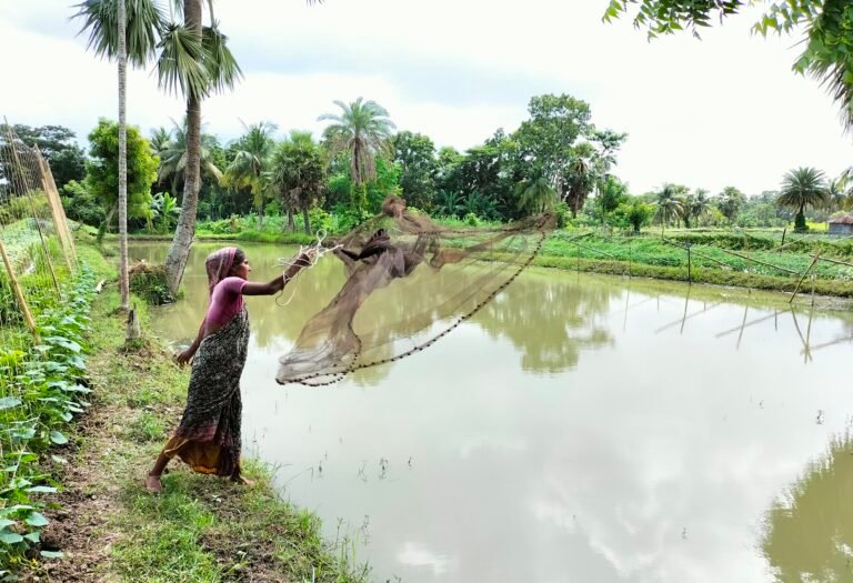 USAID supported woman agro-entrepreneur Sabitri Biswas cultivates vegetables in trellis over fish-cultivating pond, applying climate-smart technologies. As a recognition to her successes, she won the Standard Chartered Bank - Channel i Agro Award 2023 under the Resilient Talent Farmer of the Year-Woman category in April 2024.