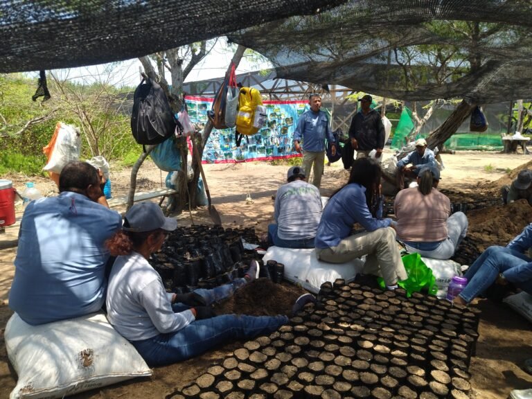 A group of people sit under an open canopy during an outdoor training.
