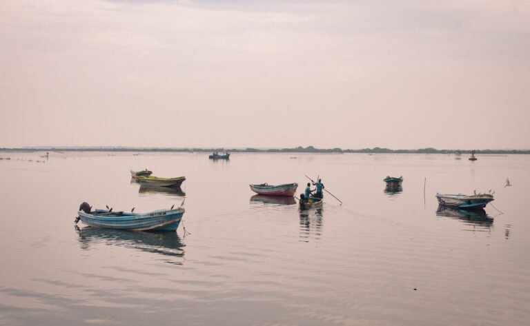 Small fishing vessels in open water near shore.