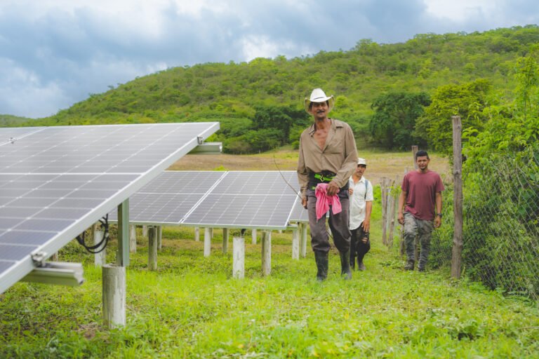 Three men walk beside a group of solar panels mounted on the ground.