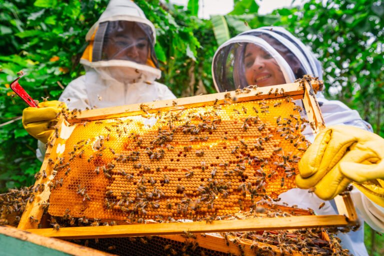 Two beekeepers wearing protective gear smile as they handle a hive.