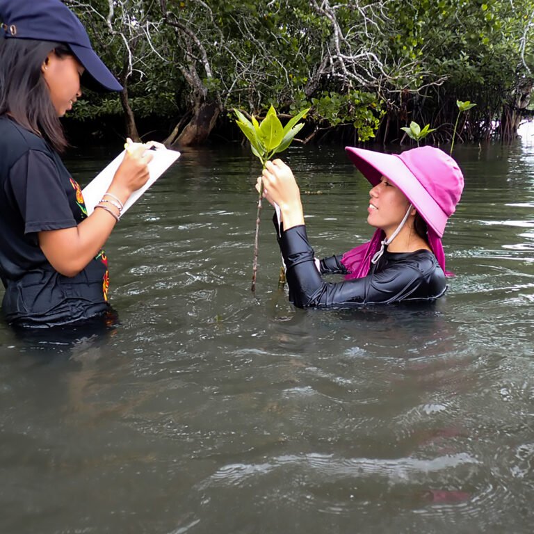 A woman stands waist-deep in water writing on a clipboard as another stands shoulder-deep in water holding a mangrove sapling.