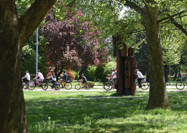 Youth riding bikes in a city park