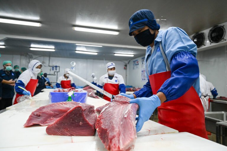 People in red aprons and blue gloves slice large raw fish in a factory setting.